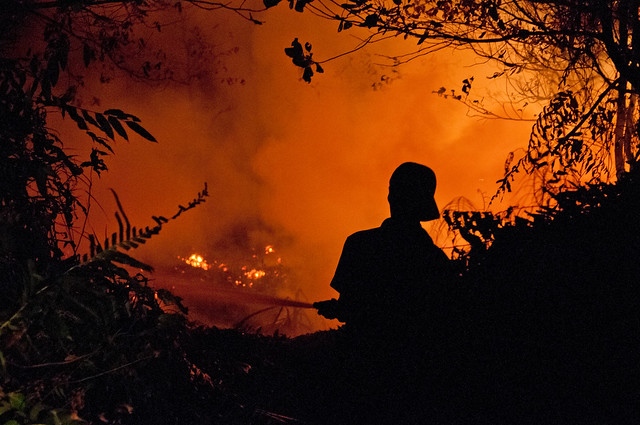 Women Research Institute Blazes Path Towards Fire 